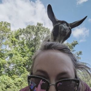 Meet your Posher, Sara